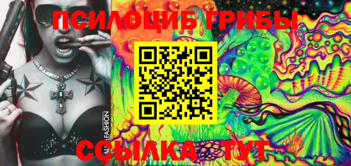 Псилоцибиновые грибы мицелий Великий Новгород