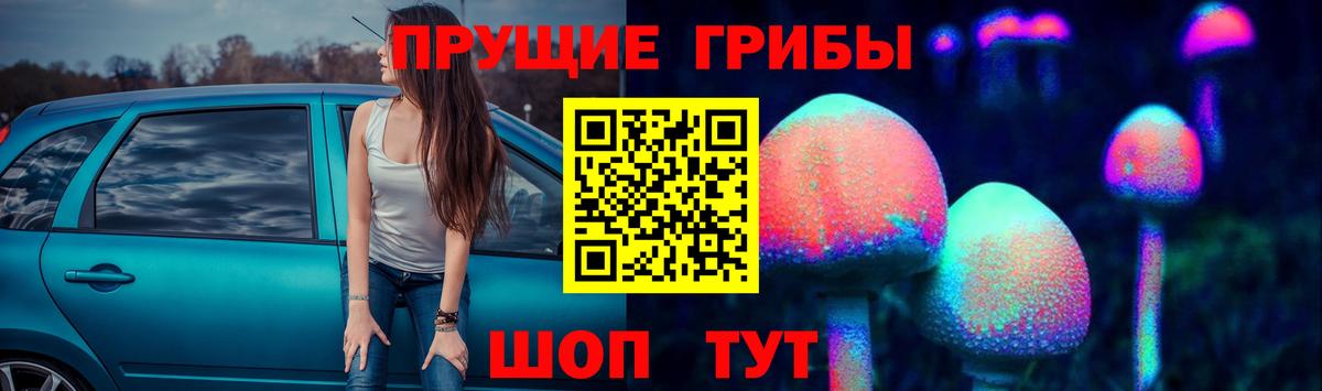 Галлюциногенные грибы MAGIC MUSHROOMS  Вход с VPN  Великий Новгород 